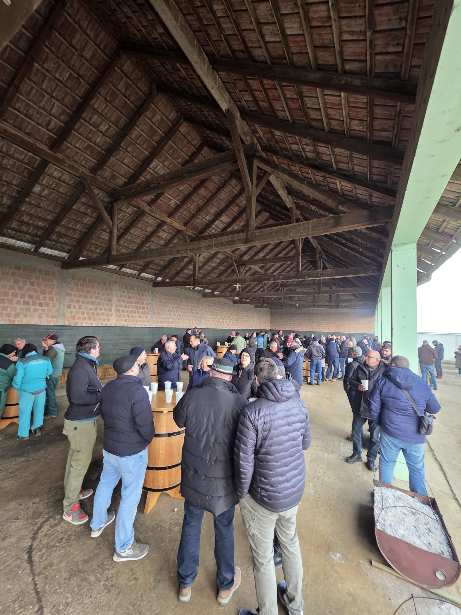 Interno Vincekovo Slika 5