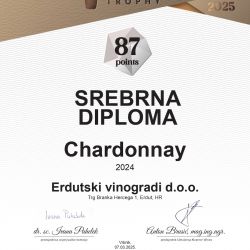 SrebrnaDiploma 6363 Page 0001