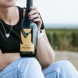 Vina Erdut Wine & Walk Autumn Edition | 26. 9. 2026.
