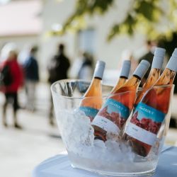 Vina Erdut Wine & Walk Autumn Edition | 26. 9. 2026.